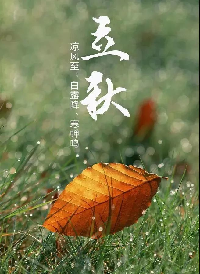 立秋到了,这些养生要点不知道,怕是要吃亏!|健康日历