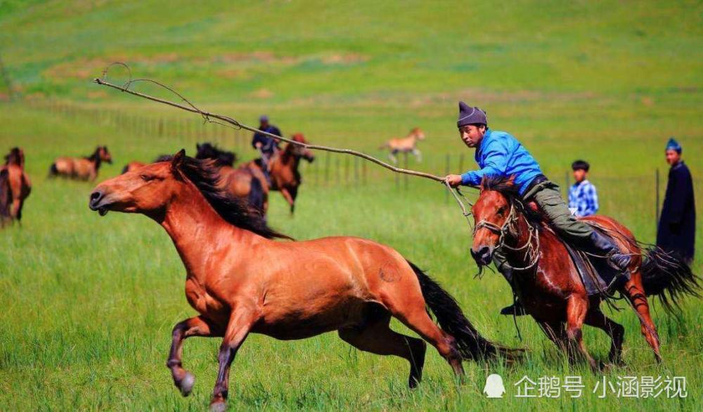 今天,除了蒙古族之外,还有近1000万人说蒙古语,他们为什么不是蒙古族