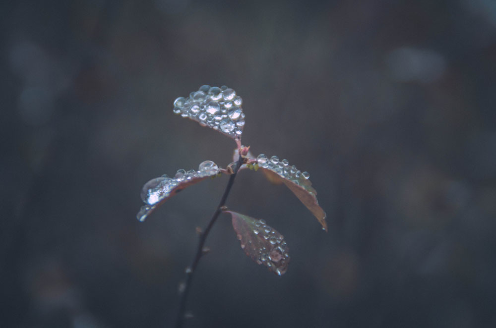 今日立秋,立秋出现打雷下雨,有什么征兆吗?看看古人留