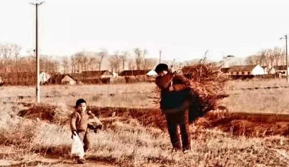 昔日后沙旺,今日聚宝盆.风浪再大,从来不曾阻挡云帆直挂!