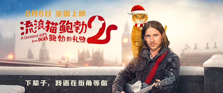 看哭千万人《流浪猫鲍勃2,一个关于救赎的故事
