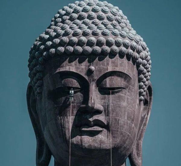 27张令人头皮发麻的图片,巨物恐惧症者慎入