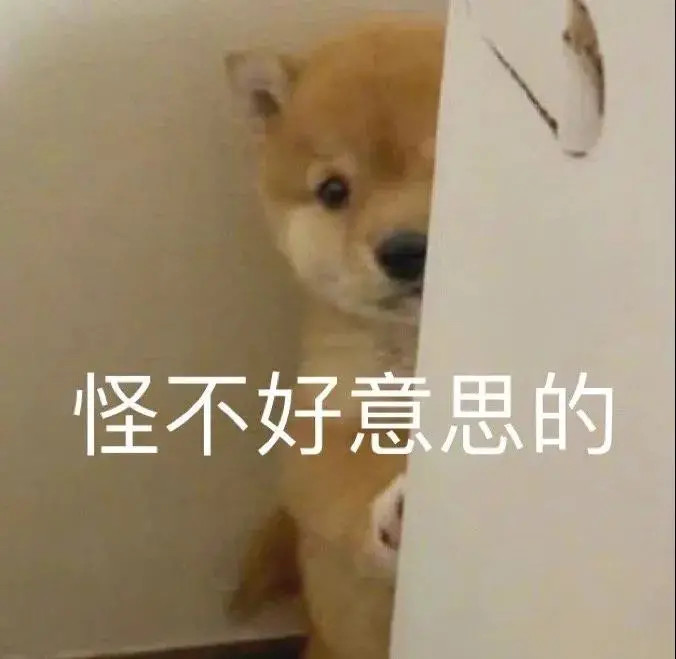 搞笑表情包～芜湖起飞!