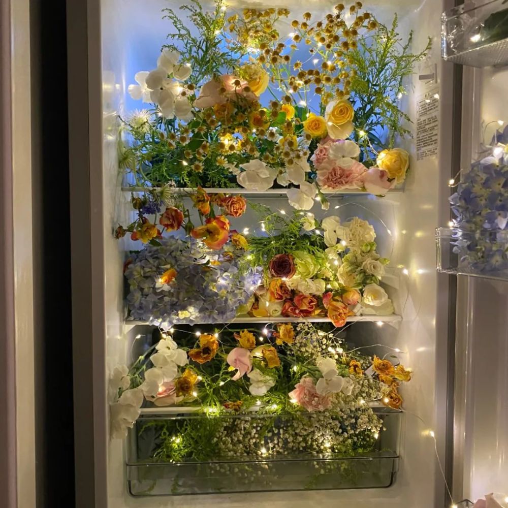 【8/7】今日文案(冰箱是生活,鲜花是浪漫.
