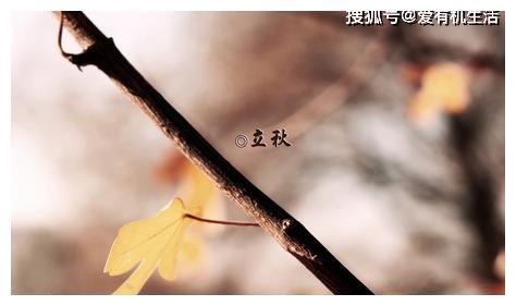 2021年立秋是早立秋还是晚立秋?立秋后还热多久