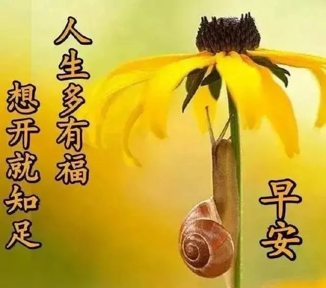 清晨早安祝福语漂亮图片动态表情,早上好唯美问候图片祝福语