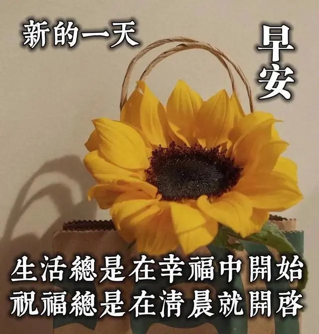 清晨早安祝福语漂亮图片动态表情,早上好唯美问候图片