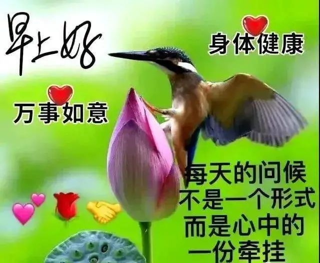 早上好朋友,漂亮的美女图片表情带字温馨,早安问候祝福语短信