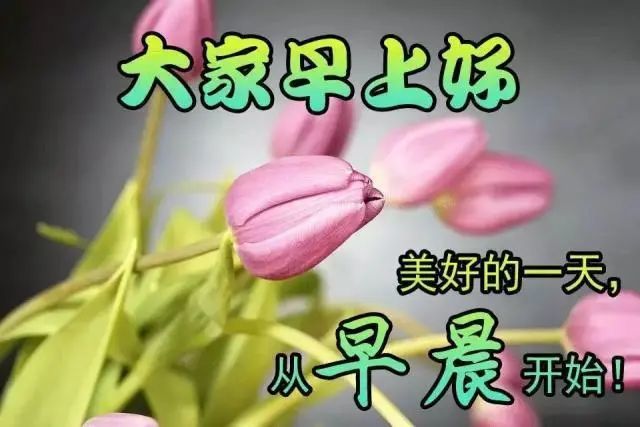 早上好朋友,漂亮的美女图片表情带字温馨,早安问候祝福语短信