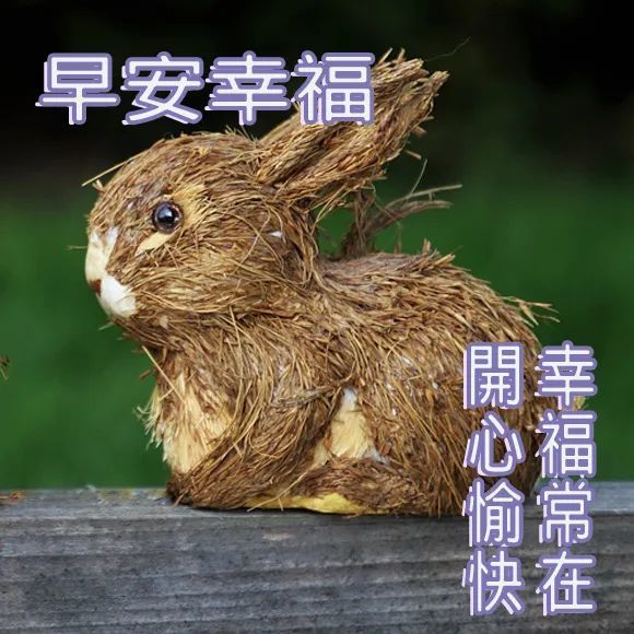 早安2021最新图片8月,早安2021最新图片风景 2021年8月29日清晨问候朋友的祝福词句,早安祝福图片