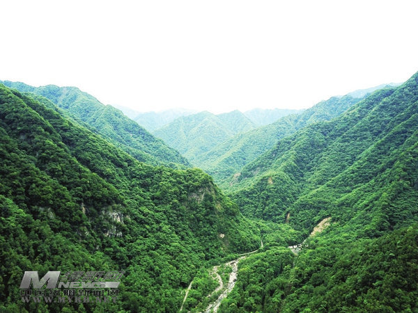 摩天岭山脉:川甘交界处的生态宝库