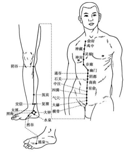 足少阴肾经穴位