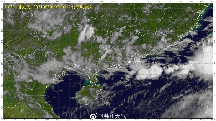 湛江天气天气实况
