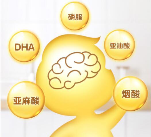 外号"脑黄金"的dha,你了解有多少?