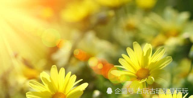 网络配图 感谢