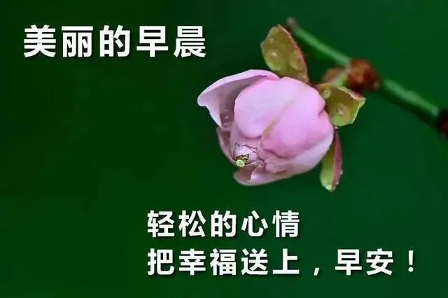 这只说明他之前有无数女朋友教过他这一点.