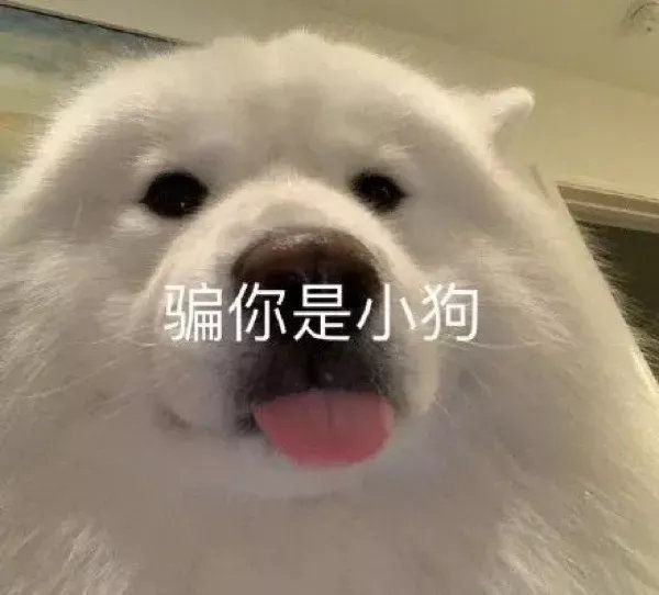 表情包拿来吧你