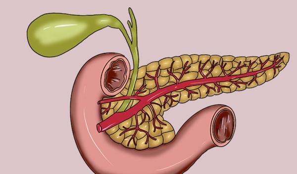什么是胰腺炎胰腺有炎症时身体会出现哪些症状
