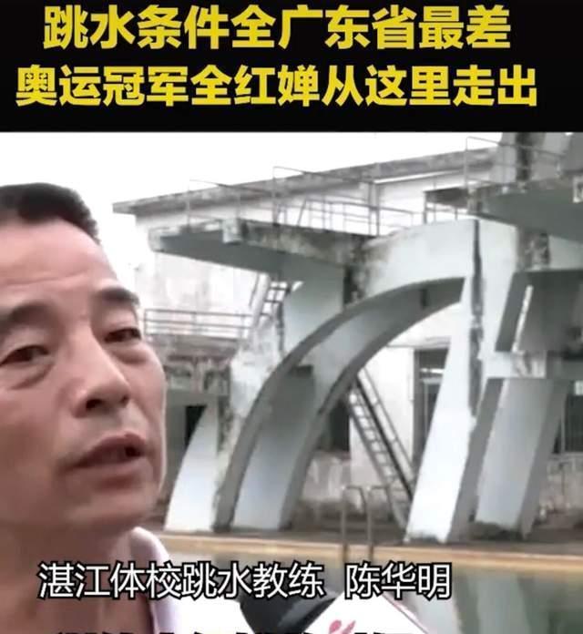 全红婵为啥叫杏哥国家队待遇如何启蒙教练陈华明有奖励吗