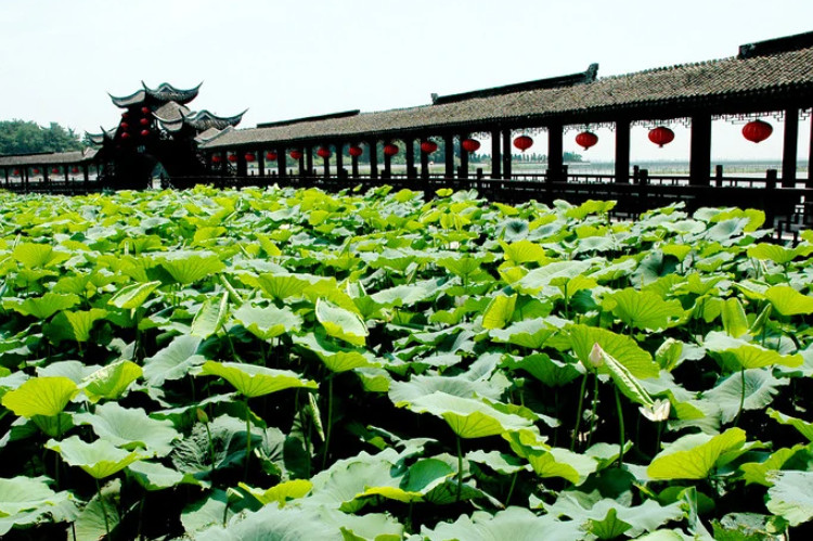 江苏哪个县城人均gdp最好_震惊 官方一纸规划,南京面临史上最大危机(2)
