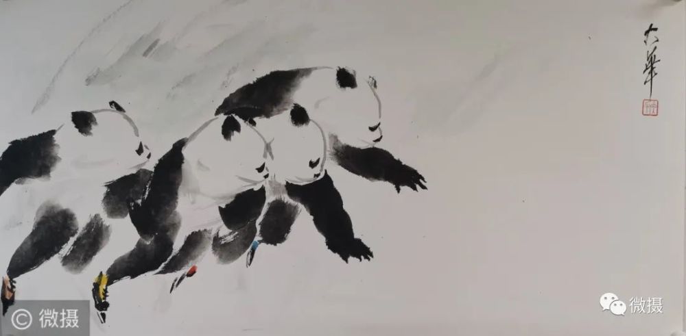 著名画家张大华先生连绘熊猫作品