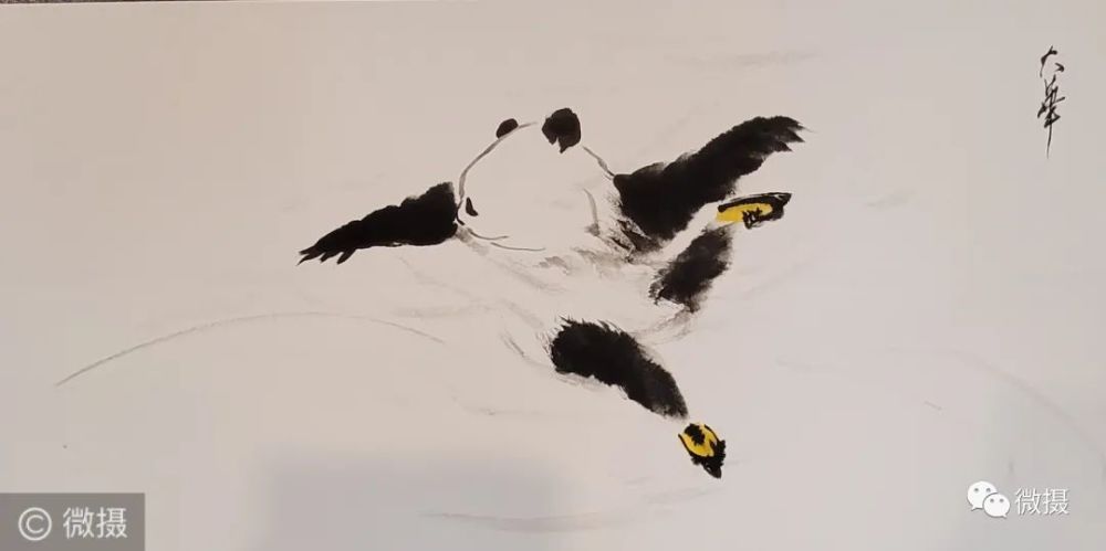著名画家张大华先生连绘熊猫作品