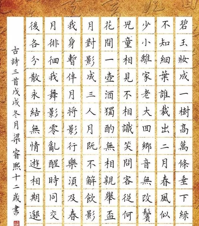 12岁小学生的硬笔书法,成熟如书法家,练过就是不一样
