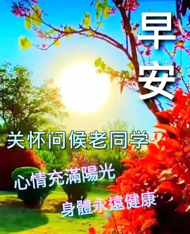 中老年表情包,聊天动态带字图片早上好祝福,知足感恩