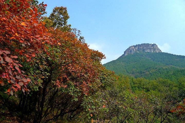 抱犊崮位于山东枣庄山亭区东南,距枣庄市区约20公里,历史上曾称"楼山