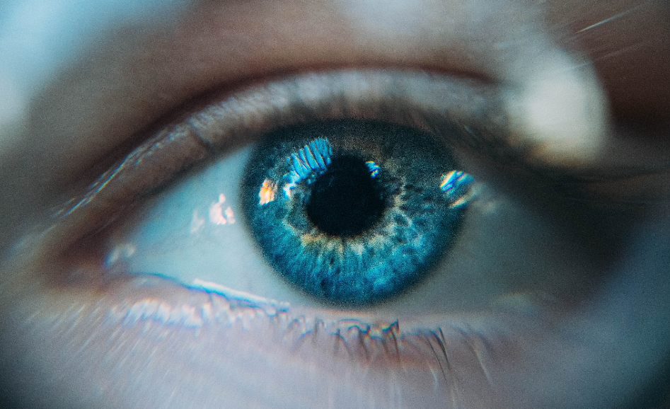 眼睛也是"大脑的窗户"?研究发现:瞳孔越大的人,就越聪明