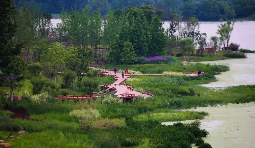 暑假去哪儿——遂宁九莲洲湿地公园