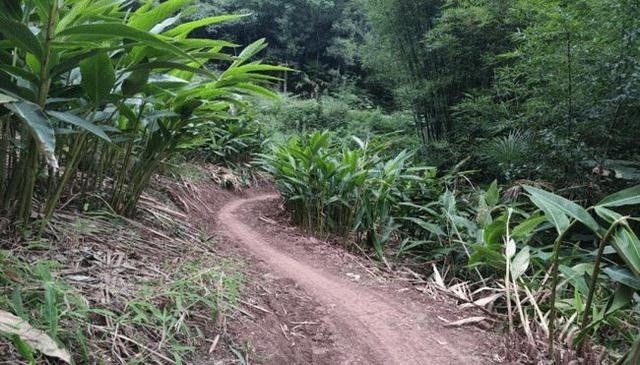 叙州区蕨溪镇gdp_叙州区蕨溪镇