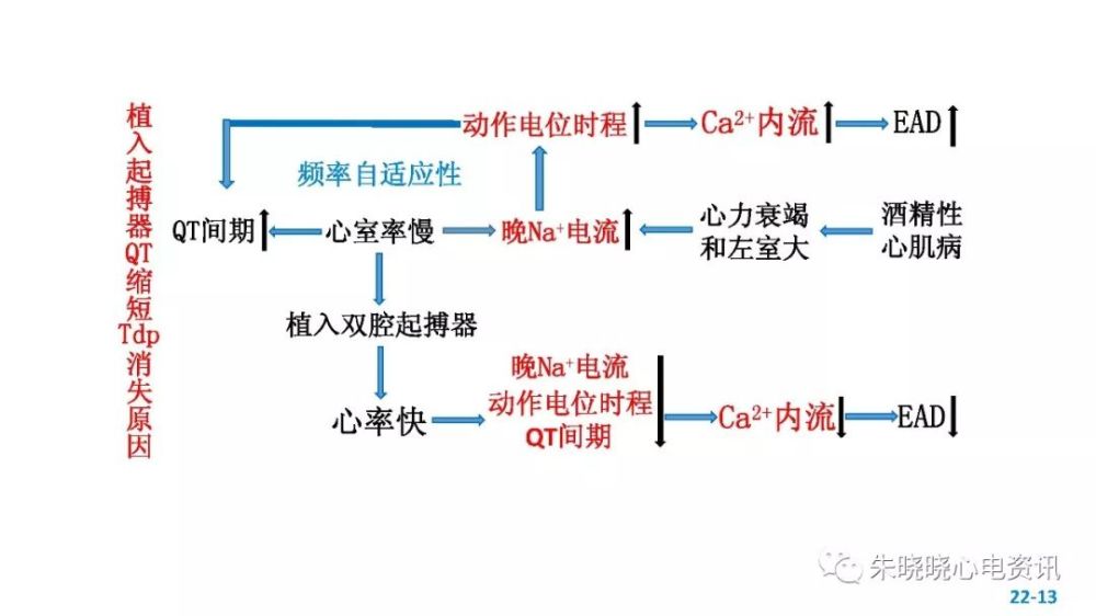 恶性室性心律失常发生机制