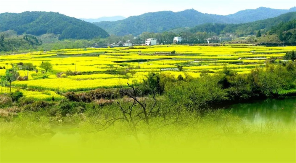 乡村振兴背景下,如何推动乡村旅游发展?