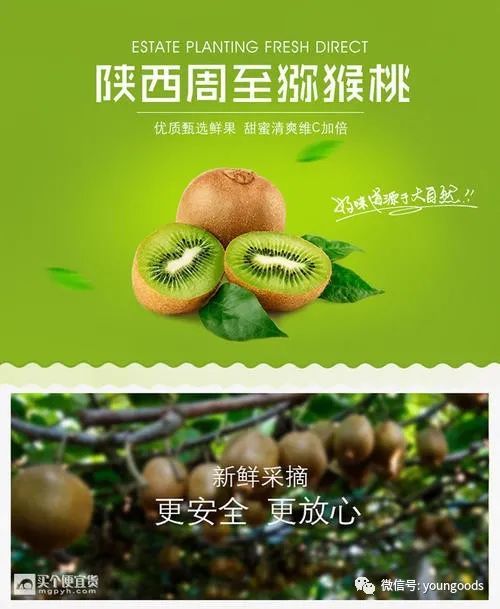 的猕猴桃产量占据了中国一半的市场,主要集中在眉县,周至和武功三县