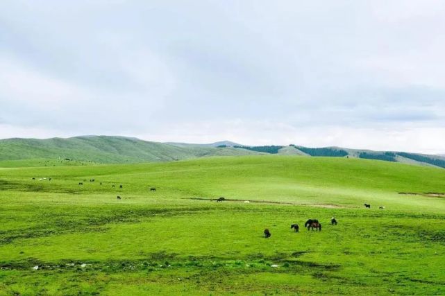 这里是四川最大的草原,也是全国三大草原牧区之一,前来这里的人,总是