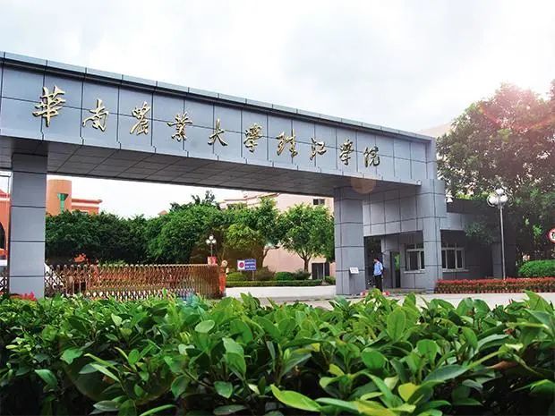 2.广州城市理工学院