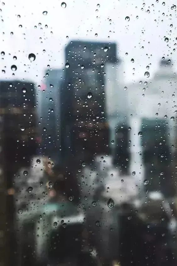 下雨天怎么拍照片?教你完美应对雨天拍摄