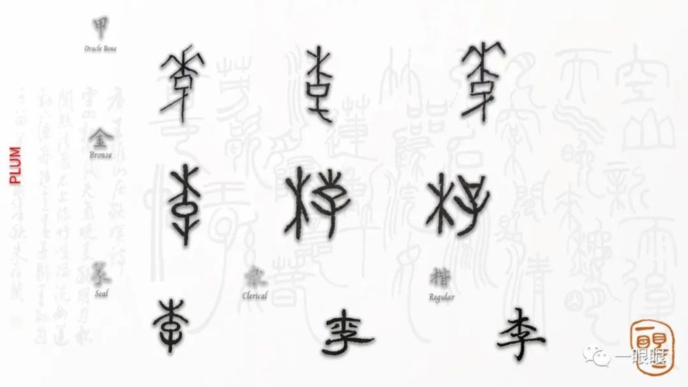 甲骨文的"李"字"从木从子",原指李子树,又指其果实,字形为"上木下子"