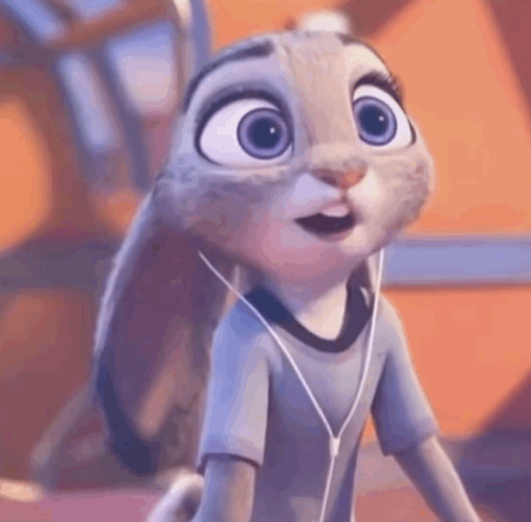原来真的有和动画片里一样的兔子!现实版朱迪走红网络