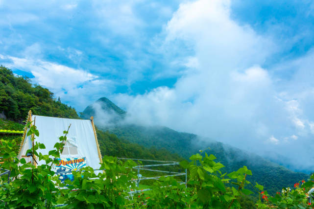 森林,溶洞,云海,情人桥,烧烤,星空露营,云中农场……七夕的九皇山