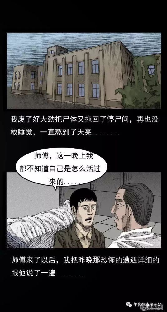 古埃及就有着关于猫在金字塔里长生不老或者尸身不腐的故事,基本上