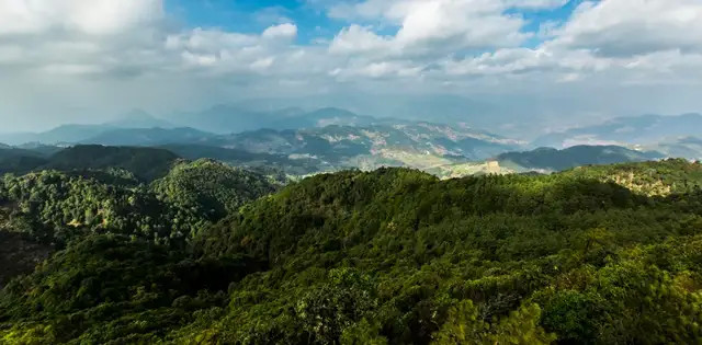 风雨听绿善洲林场游