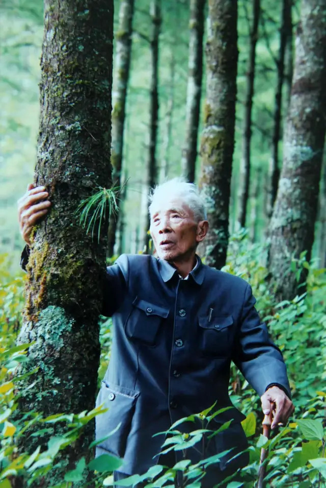 风雨听绿——善洲林场游|大亮山|善洲林场|杨善洲