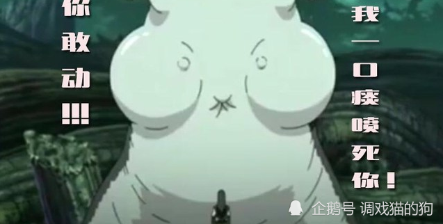 《火影忍者》中,同样是三大圣地的通灵兽,为什么蛞蝓