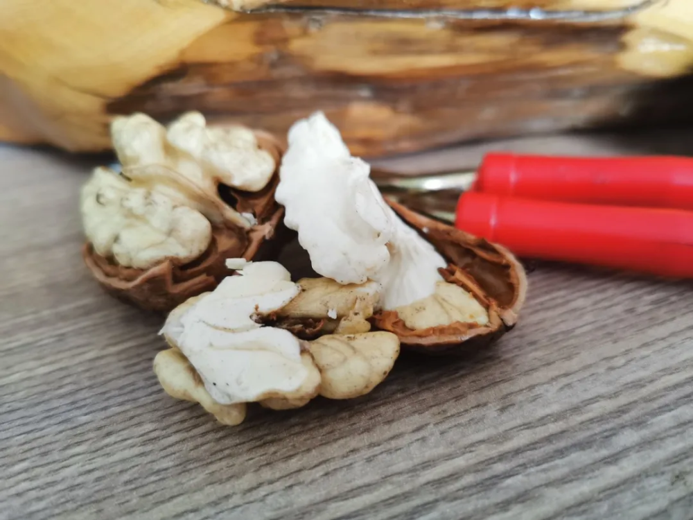 鲜脆爽口,值得品尝!米易新鲜核桃大量上市