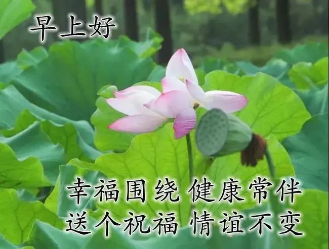 非常温馨的早上好问候图片表情,早安好心情的问候祝福