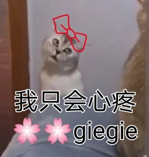 沙雕表情包|我只会心疼giegie