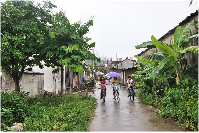 潮阳谷饶深洋村