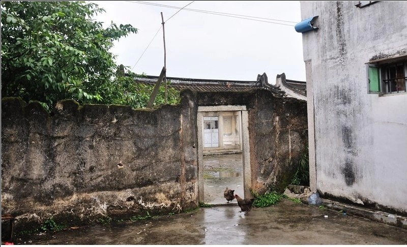 潮阳谷饶深洋村